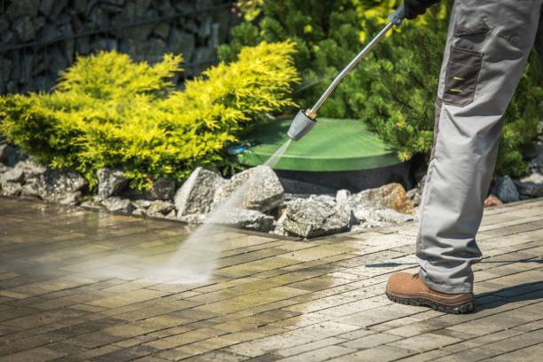Best Rust Removal  in Lake Dalecarlia, IN