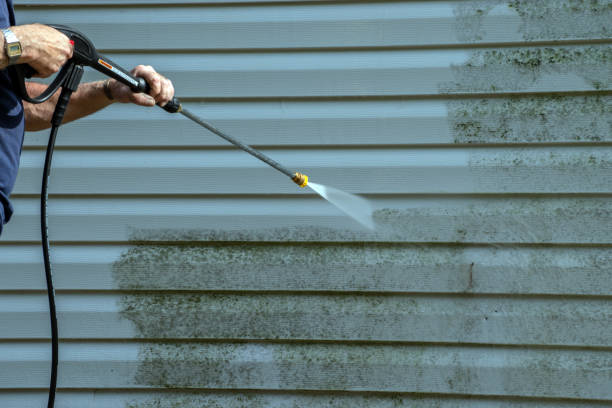 Trusted Lake Dalecarlia, IN Pressure Washing Experts