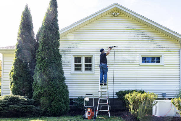 Best Gutter Cleaning  in Lake Dalecarlia, IN